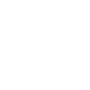 criação de site profissional em wordpress